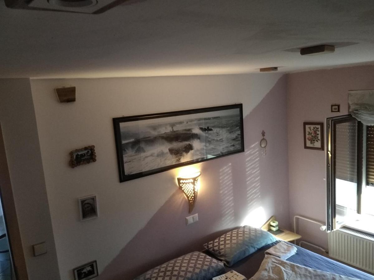 Michoart Apartment ลูบลิยานา ภายนอก รูปภาพ